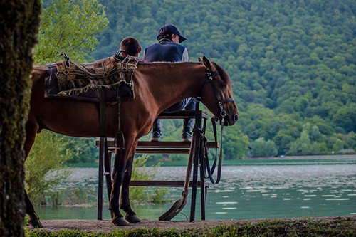 Horseback Riding Adventure