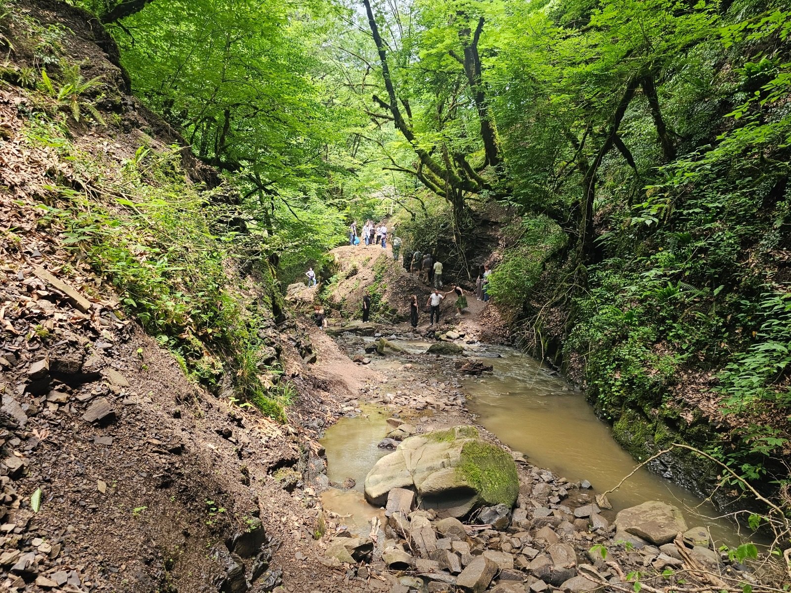  - Image 2