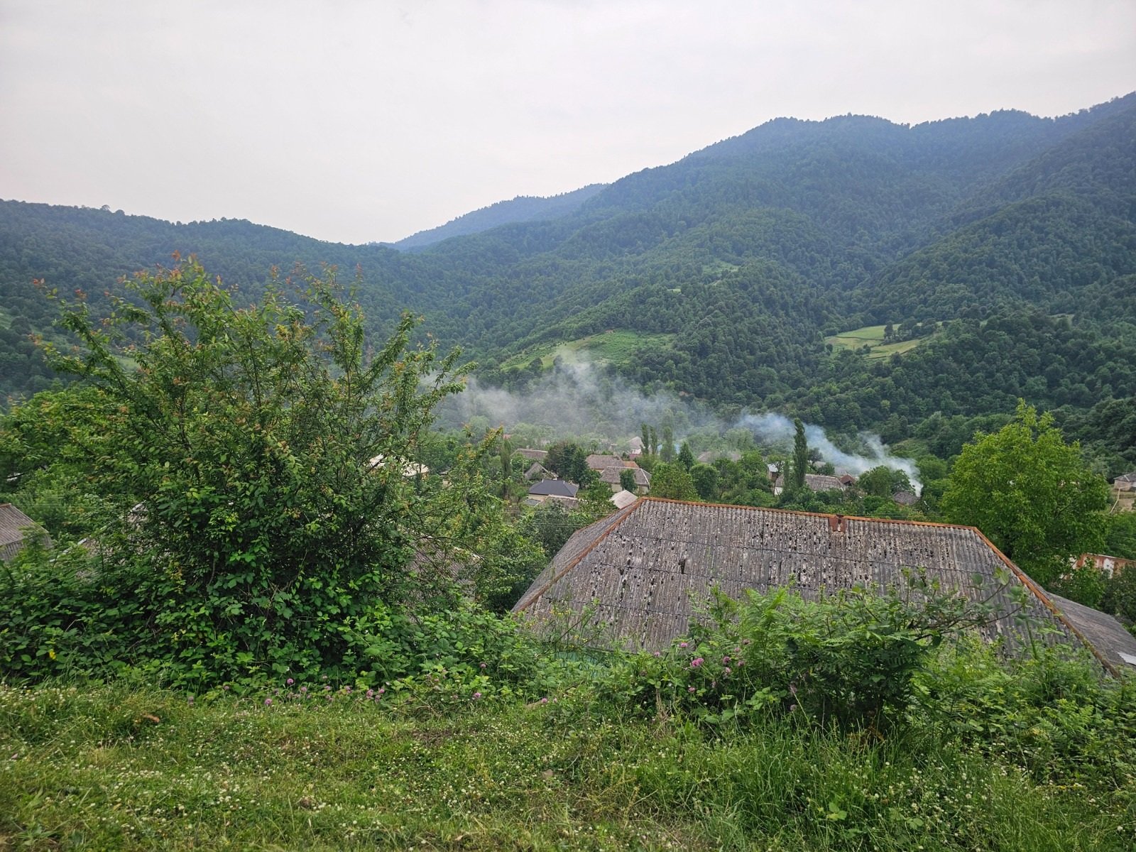  - Image 3