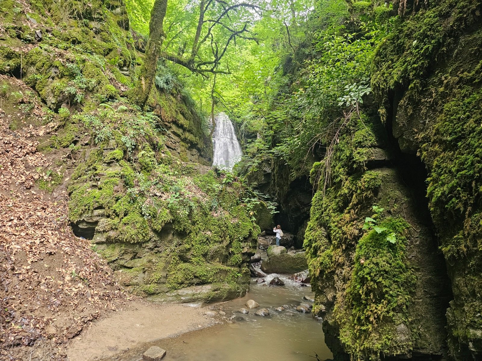  - Image 6