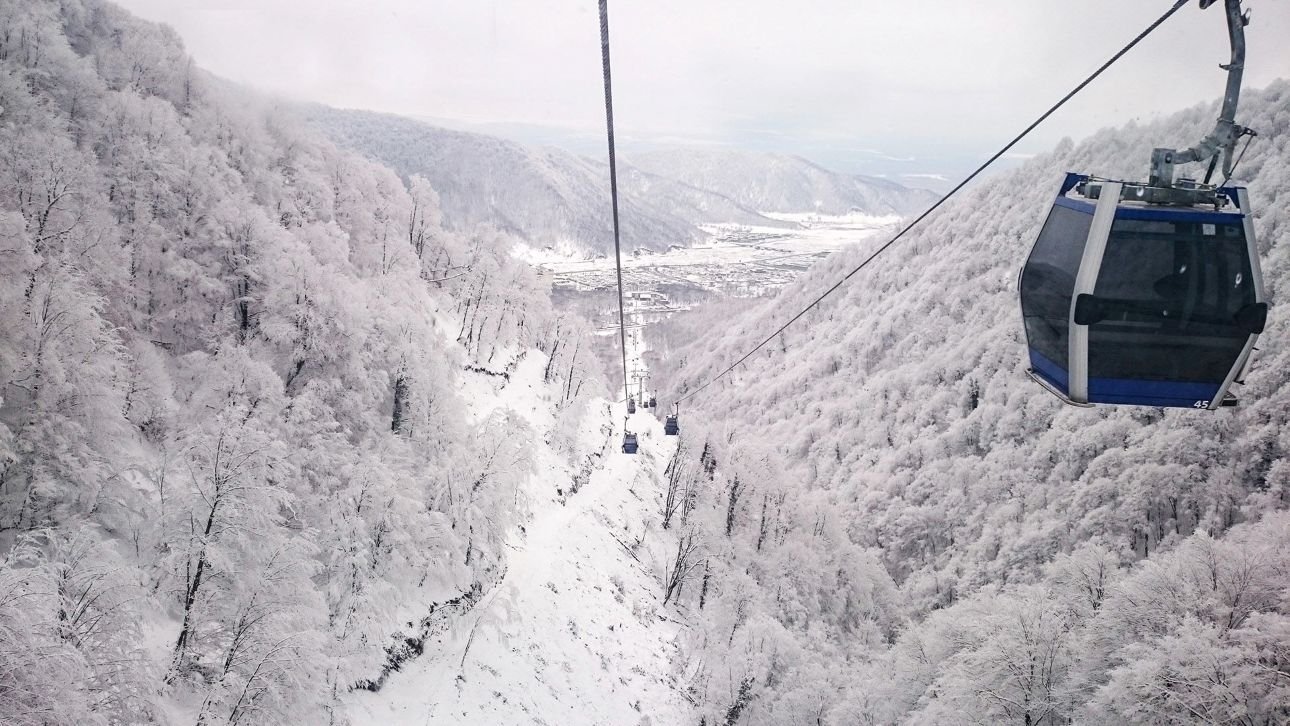  - Image 8